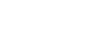 anything workspace logo white